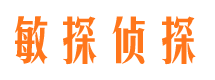 临沭市调查取证